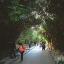 여수시오동도관리사무소 이미지