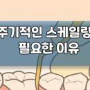 서울정성가득치과 이미지