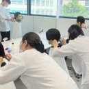 해운대 대 동일 이미지