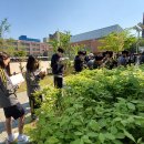 2025년 학교숲 톺아보기(신구중학교)-2025년 4월 29일 다녀왔습니다. 이미지