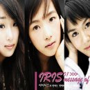 아이리스 이미지