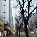 새한카 | 후쿠오카 근교 버스투어 후기｜유후인·벳푸·히타