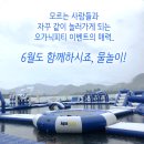 오가닉피티 이미지