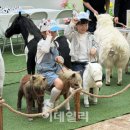 지주목장 이데일리