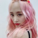 니콜