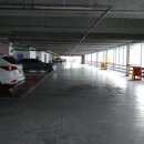 (주)두손 이미지