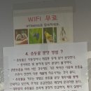 젊은열대어 이미지