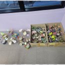 아트인네이처미술학원 | 춘천미술학원 아이의 상상력 날개를 달다, 아트인미술학원 후기