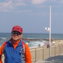 정동진역 이미지