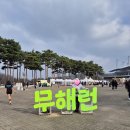 업사이클 페인팅 | 쓰레기 없는 마라톤 무해런 2026 참가 10km 완주 후기