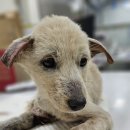 성내안길 이미지