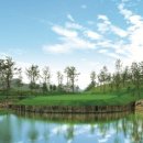 오션비치 이미지