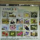 순심여자중고등학교