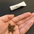 바른본한의원 이미지