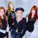 6시내고양이 이미지