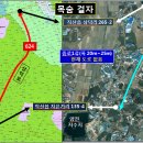 이번주 집중분석 대상은 "신통기획(신속통합기획)"사업 이미지