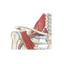평동한의원 이미지