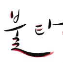 비타무브먼트 네이버블로그