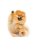 진해구 ⓒ-37 이미지