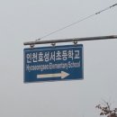 효성동 하나아파트 앞 이미지