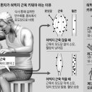 선진코리안 이미지