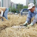 올림픽로 이미지