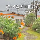 고씨네마켓