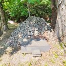 운학동 돌무지군 이미지