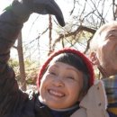 창원마을 이미지