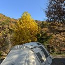 B13 | 단풍캠 추천 전북 무주 깊은골캠핑장 B13 사이트 솔직후기(예약/단풍상황/사이트/편의시설)
