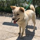 보룡1리 이미지