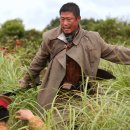 봉오동전투 | 영화 <봉오동 전투> 관람 후기 리뷰