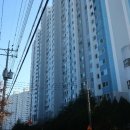 신세계아파트 이미지