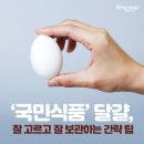 국민식품