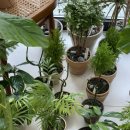 동고한의원 이미지