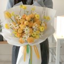 바이마이플레르 이미지