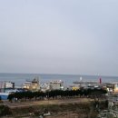 청사포 | 청사포카페 루아앤티그리 청사포점 후기