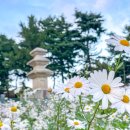 서당초길 이미지