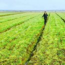 은정농장 이미지