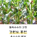 옥식농장 이미지