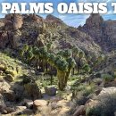 22년 1/15(토) Lost Palms Oasis Trail 이미지