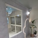 댕댕이 애견미용샵 이미지