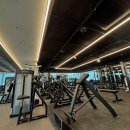 머슬뷰티 이미지