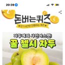 캐시워크 정답 이미지