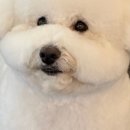 가야로 463번길 이미지