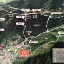 뷔페다미 이미지