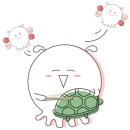 에스플랜인테리어