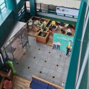 한국전기안전공사부산울산지역본부 | 기계설비기술사 시험장, 주차장 후기(부산국가자격시험장(금곡동, 한국산업인력공단 부산지역본부)_5.17