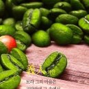 아우투스 이미지