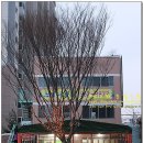 느티나무집 이미지